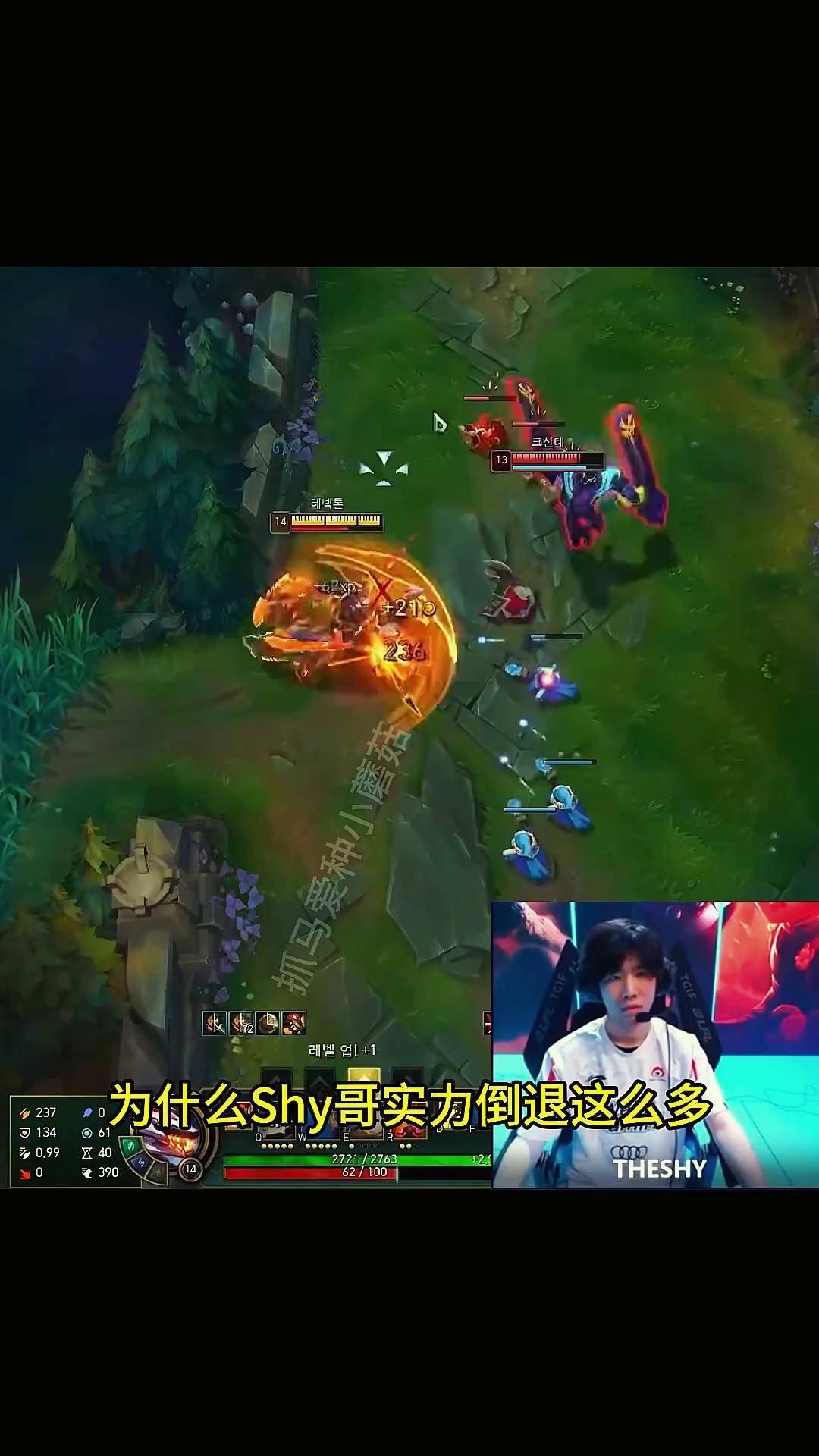 篮网教练压力巨大！，TheShy遭遇十二持续失利全场沸腾不已的简单介绍